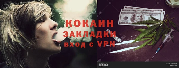соль ск Абаза