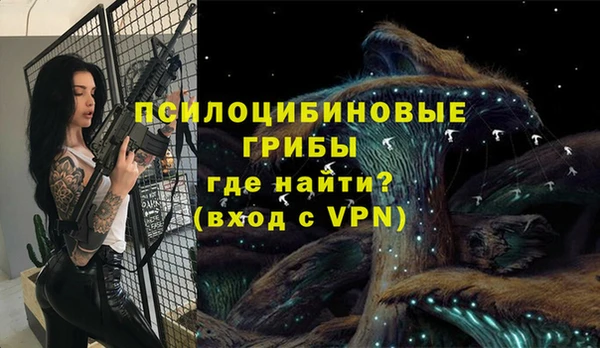 ешки Абинск