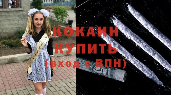 соль ск Абаза