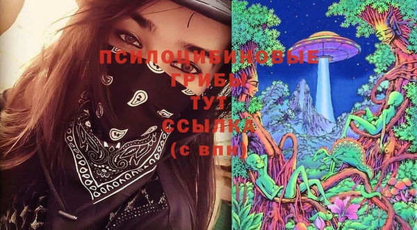 соль ск Абаза