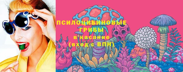 соль ск Абаза